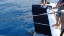 Sabore -  Cruising with Dolphins